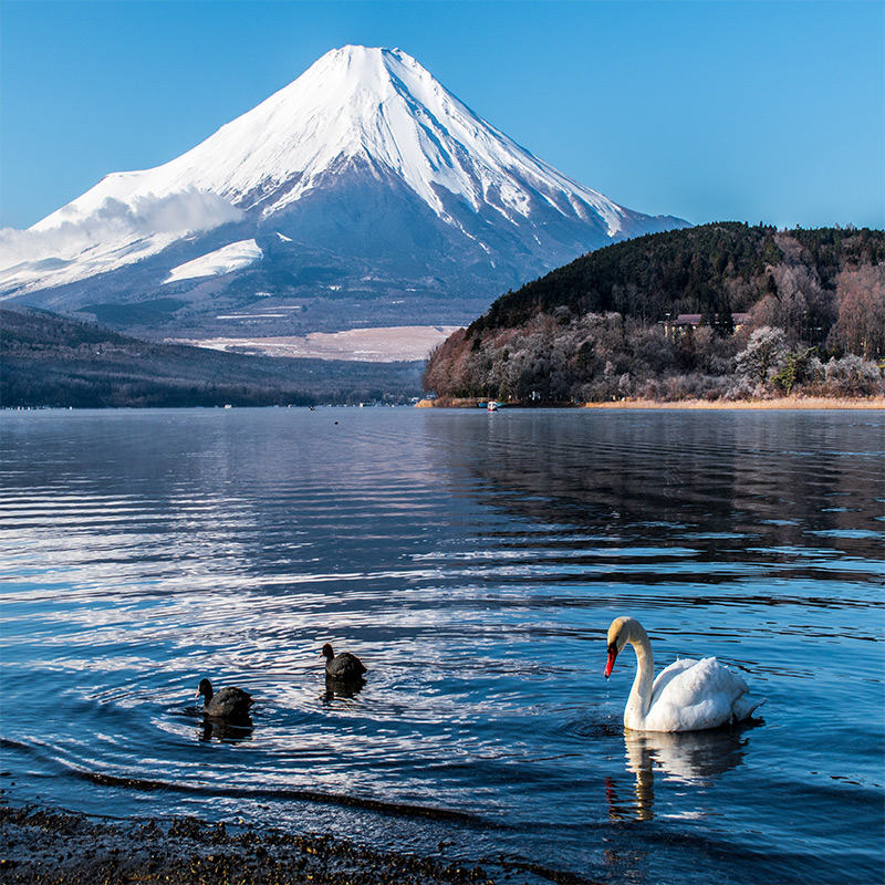 Japan eSIM Unlimited data